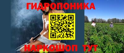 jwh Кимры