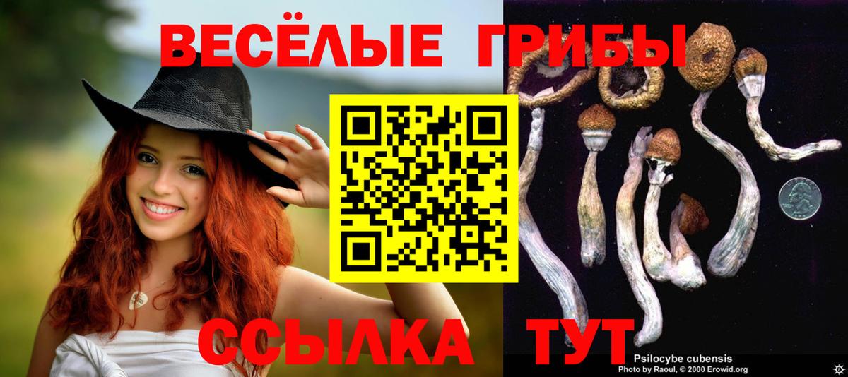 Краснокаменск  Псилоцибиновые грибы прущие грибы  Вход с VPN 